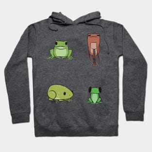 All the Frogs Hoodie